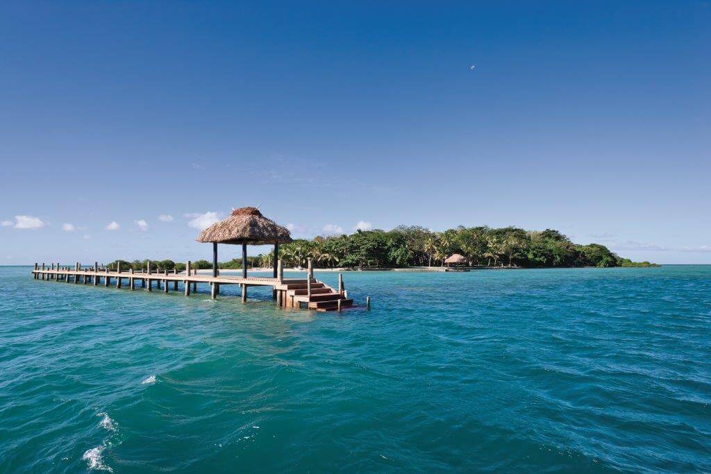 Dolphin Island, Fiji -Dolphin Island - Fiji