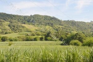 The hill in Vatusekiyasawa where renowned cannibal Udre Udre's abode