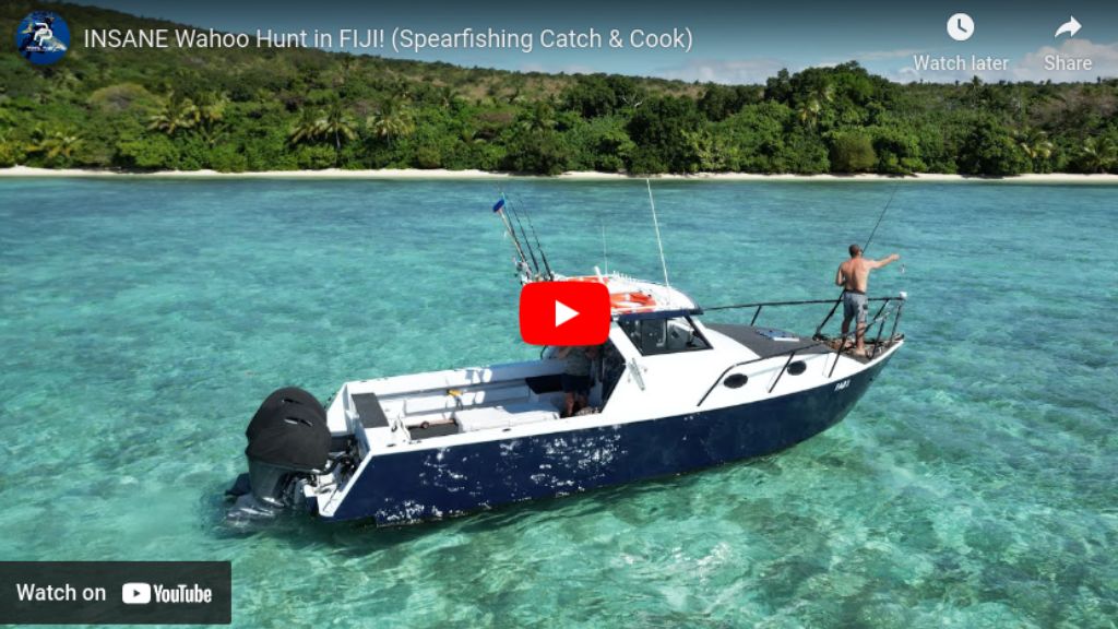 INSANE Wahoo Hunt in FIJI! (Spearfishing Catch & Cook) - Part 3 - August 2023