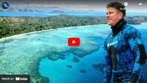 The Hunt for BIG FISH! Spearfishing Fiji's Coral Gardens August 2023